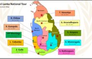 9 மாகாணங்களுக்கும் ஒரே நாளில் தேர்தல் – அமைச்சரவை அங்கீகாரம்!