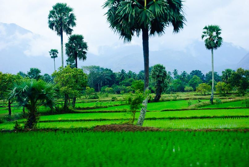 எனது ஊர் பொள்ளாச்சி -கோவை சசிக்குமார்.