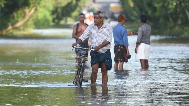 கேரளாவைத் தாக்கும் தொற்றுநோய்!