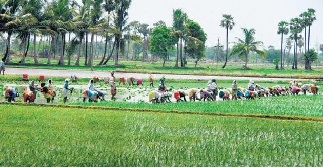 வடமாகாணம் தழுவிய  இயற்கைவழி விவசாய வாரம் ஆரம்பம் .